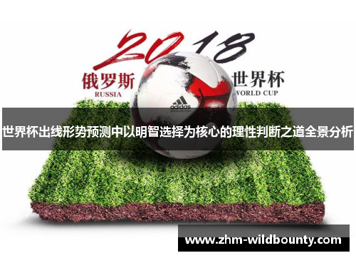 世界杯出线形势预测中以明智选择为核心的理性判断之道全景分析 世界杯出线形势预测中以明智选择为核心的理性判断之道全景分析